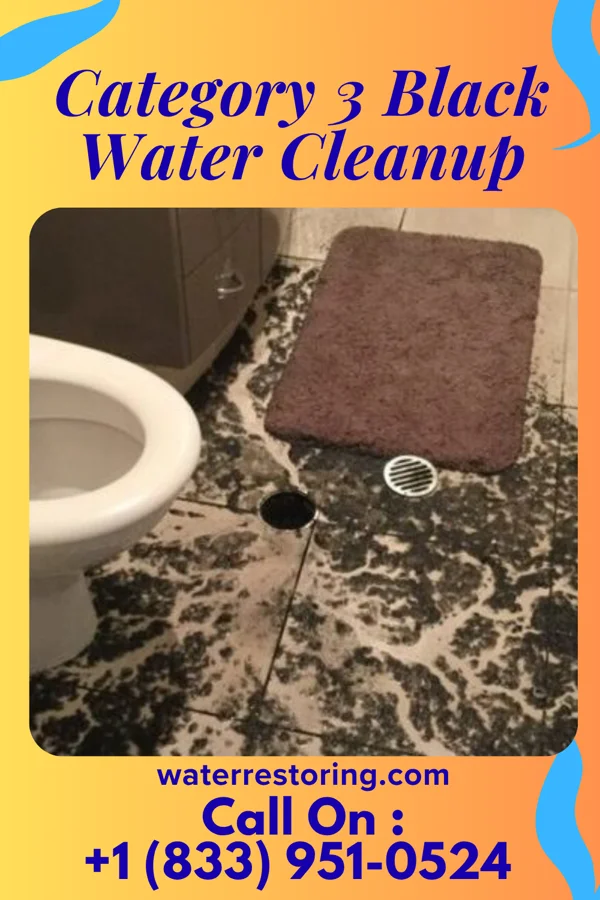 Category 3 Black Water Cleanup in Glasgow, IL