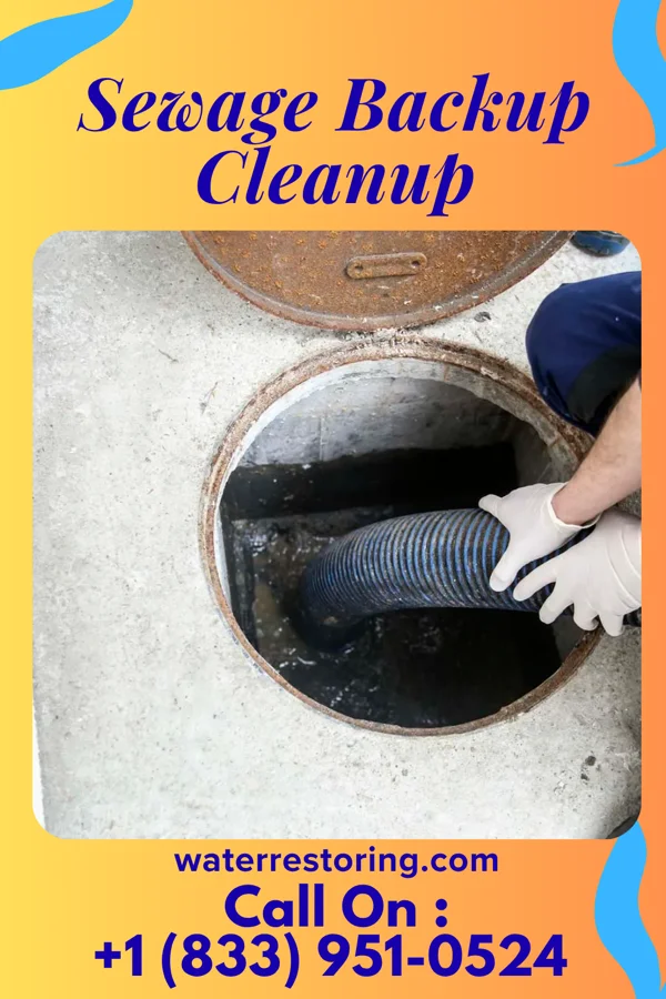 Sewage Backup Cleanup in Glasgow, IL